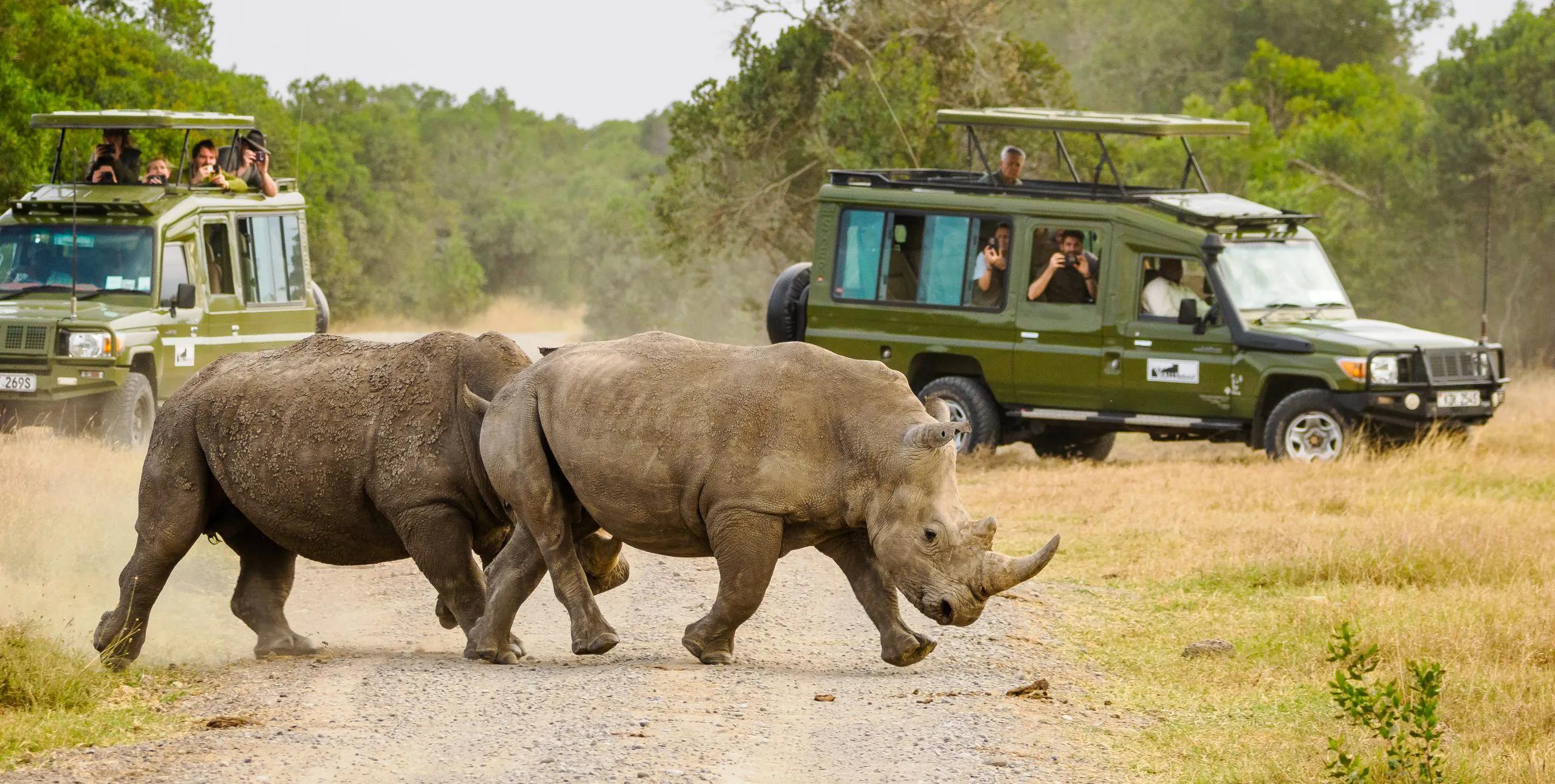 Sweetwaters / Ol Pejeta Conservancy